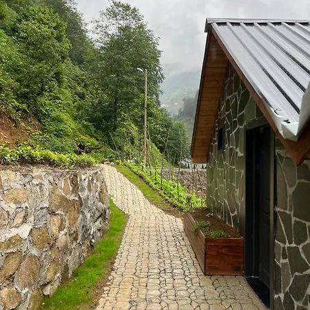 Afara & Cafe Rize
