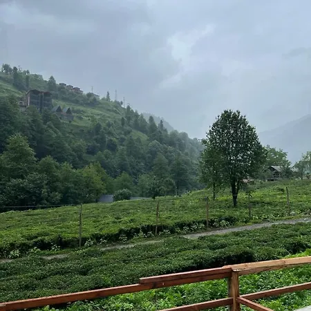Afara & Cafe Rize